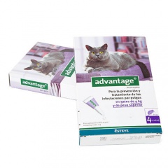 Pipeta anti-pulgas para gatos Advantage