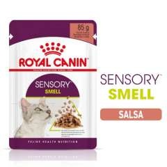 Royal Canin Sensory Smell Saqueta para Gatos