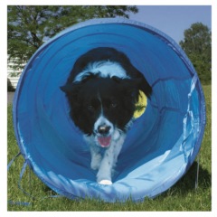 Túnel flexível de agility para cães
