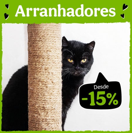 15% de desconto em arranhadores para o seu gato.