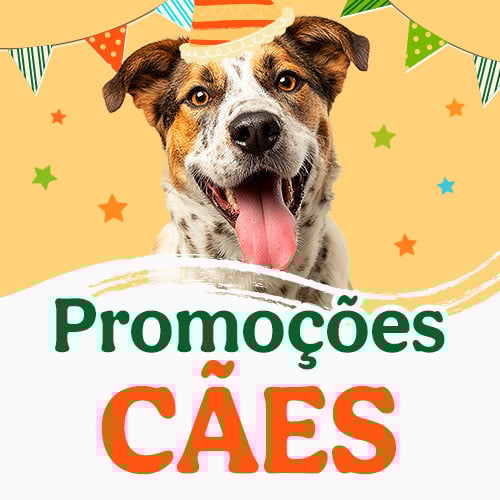 Promoções de aniversário para cão