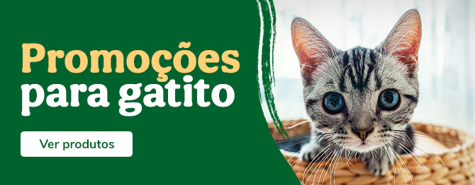 Promoções gatinhos
