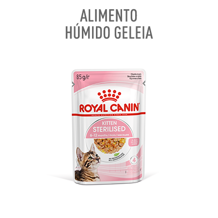Royal Canin Kitten Sterilised – alimento húmido em gelatina para gatinhos esterilizados