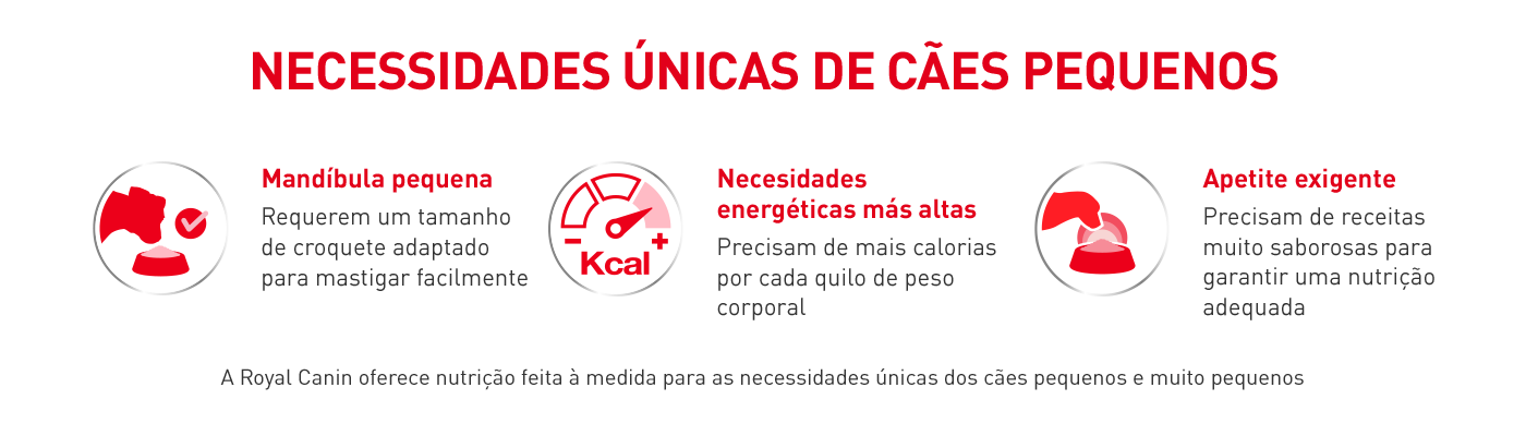 Necessidades únicas dos cães de porte pequeno: mandíbula pequena, paladar exigente e maiores necessidades energéticas.