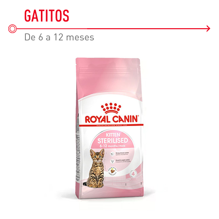 Royal Canin Kitten Sterilised – ração para gatinhos esterilizados