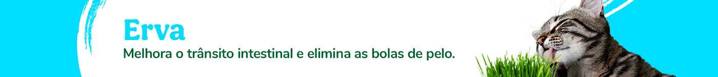 Erva - Melhora o trânsito intestinal e elimina as bolas de pelo.