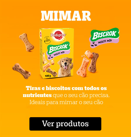 Snacks para mimar