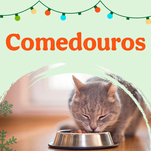 Promoções em Comedouros e Bebedouros