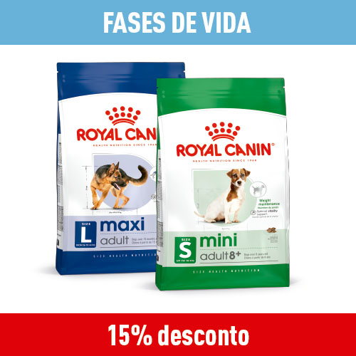 Fases de vida cão
