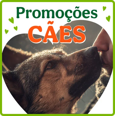 Promoções para cães.