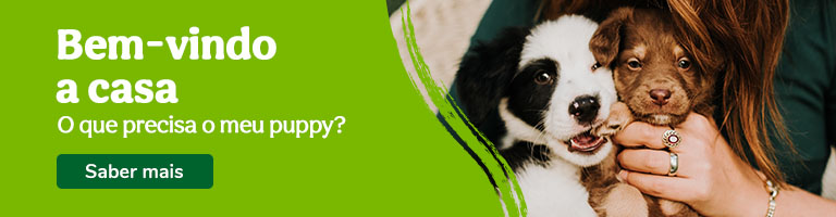 Bem-vindo Puppy!