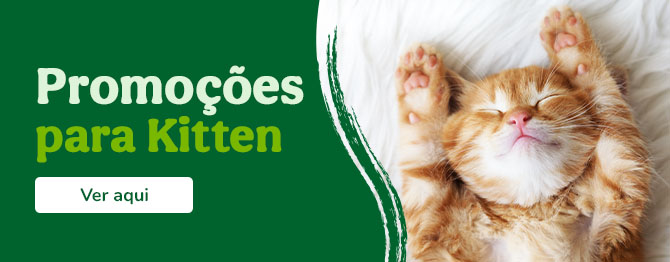 Promoçoes Kitten