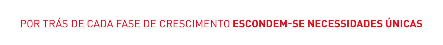 Cada fase de crescimento implica necessidades únicas