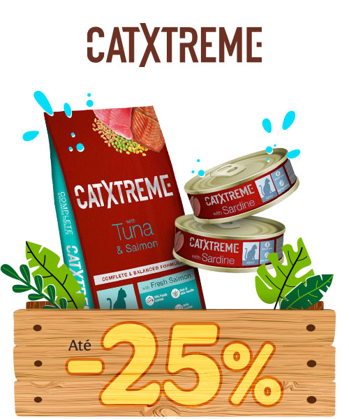 Catxtreme: Até 25% de desconto em ração e packs de comida húmida para gatos.