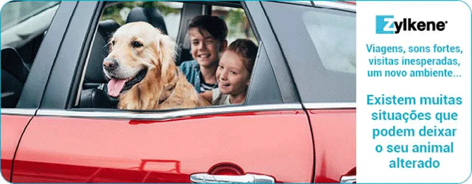 Zylkene calmante natural para cães e gatos — ajuda em situações de stress e ansiedade.
