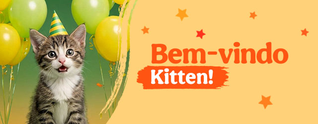Os produtos essenciais para receber em casa o novo gatinho