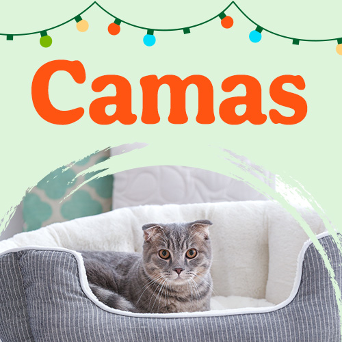 Promoções em Camas
