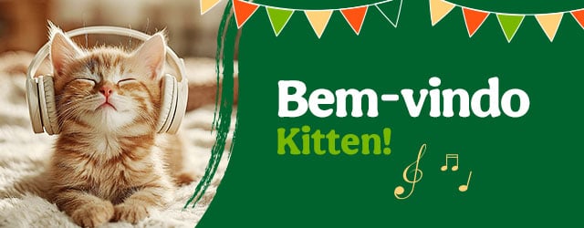 Os produtos essenciais para receber em casa o novo gatinho