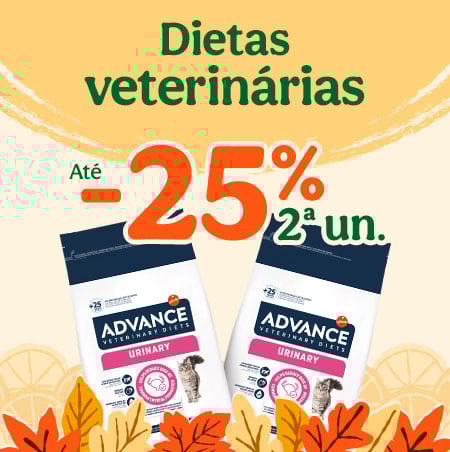 Dietas veterinárias: Até 50% de desconto em ração, snacks e húmidos para o seu gato.