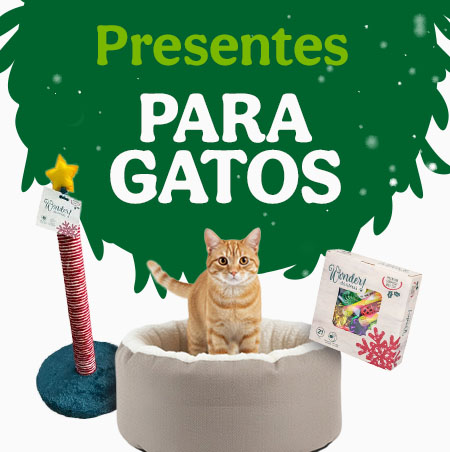 Presentes para gato.