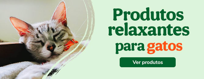 Relaxantes para gatos