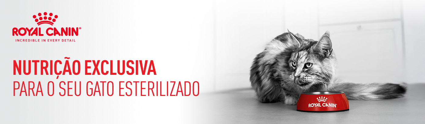 Alimentação específica para gatos esterilizados