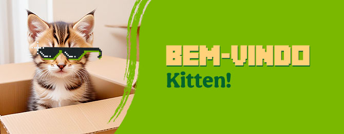 Os produtos essenciais para receber em casa o novo gatinho