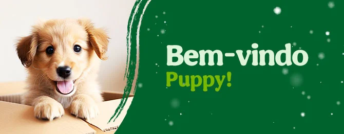 Os produtos essenciais para receber em casa o novo cachorro