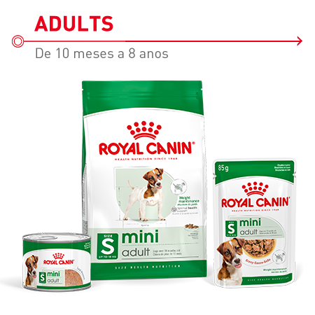 Royal Canin Mini. Ração e alimentação húmida para cães adultos de raças pequenas.