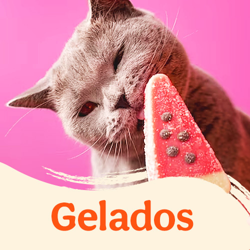 Gelados