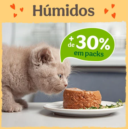 + de 30% de desconto em packs de alimento húmido para gato.