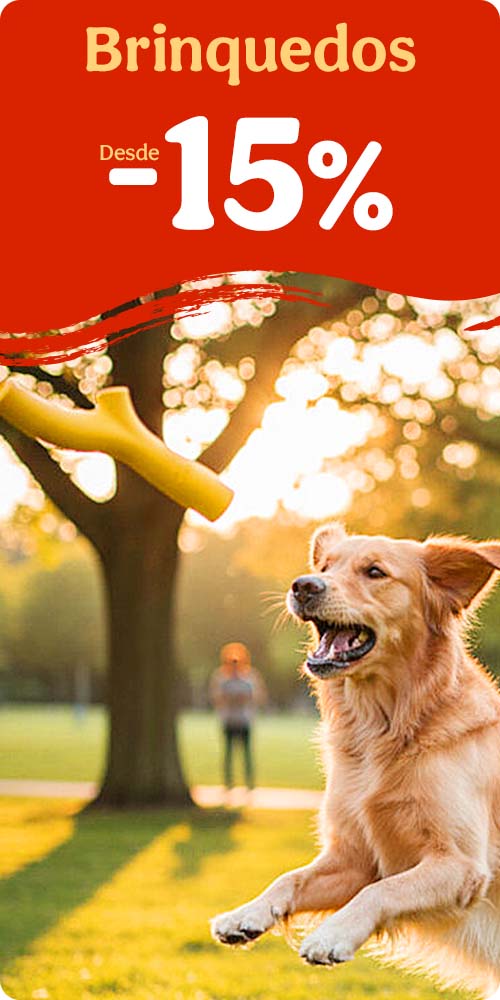 Desde 15% de desconto em brinquedos para o seu patudo.