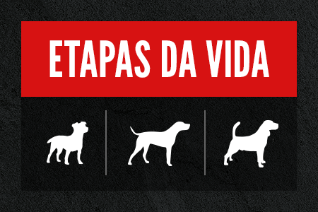 Encontre a receita ideal em função da etapa de vida do seu cão.