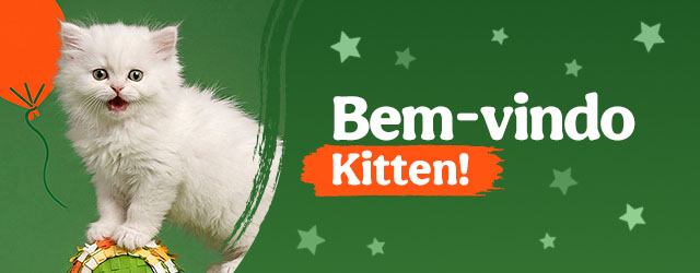 Os produtos essenciais para receber em casa o novo gatinho