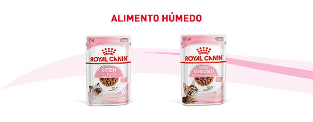 Royal Canin gato junior. Encontre a comida húmida que melhor se adapta ao seu gatinho.