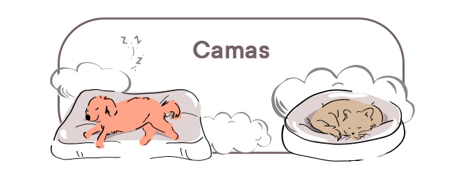 Camas Leeby. Um mundo de possibilidades para o descanso adequado do seu animal de estimação.