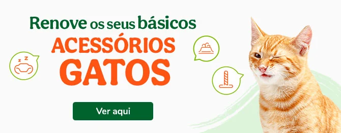 Os melhores acessórios para gato com qualidade e variedade para o seu patudo.