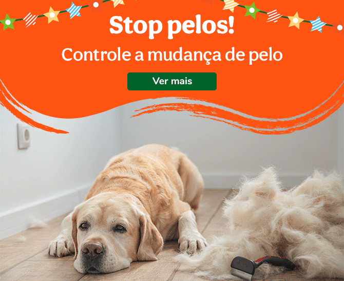Controle a queda do pelo com estas escovas ideais