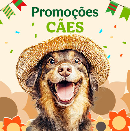 Promoções para cão