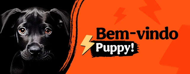 Os produtos essenciais para receber em casa o novo cachorro