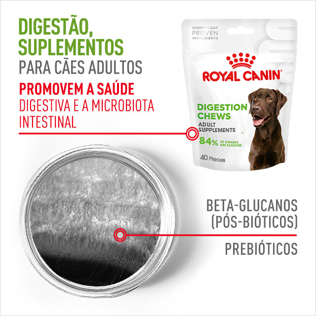 Digestão. Suplementos para cães adultos. Promove a saúde digestiva e a microbiota intestinal