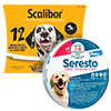 Coleiras para cães