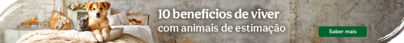 Benefícios de viver com animais de estimação.