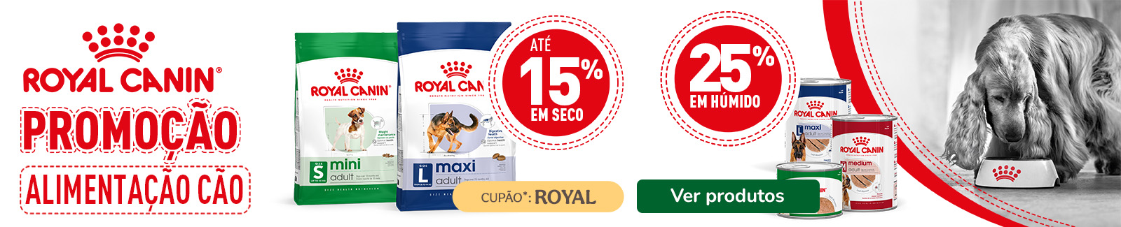 Até 15% de desconto em ração e 25% de desconto em comida húmida para cão da Royal Canin.