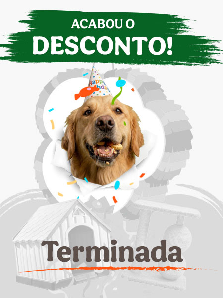 Ação solidária Criadores