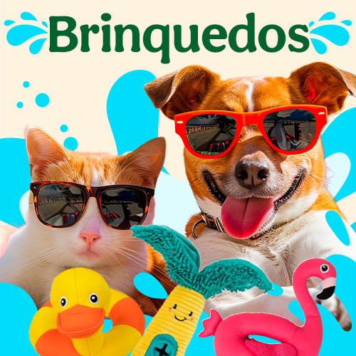 Brinquedos