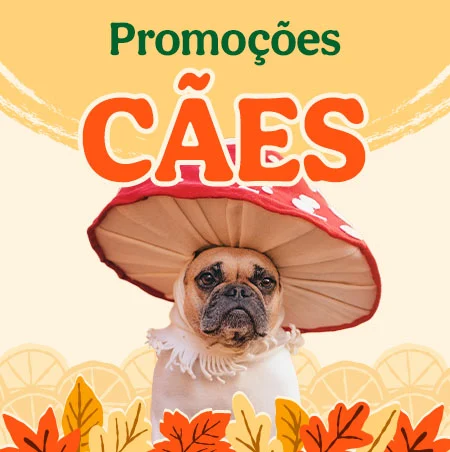 Promoções para cão Promoções para cão