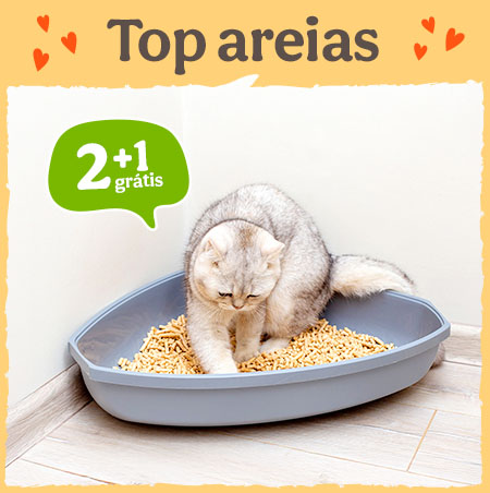 3x2 em areias para gatos.