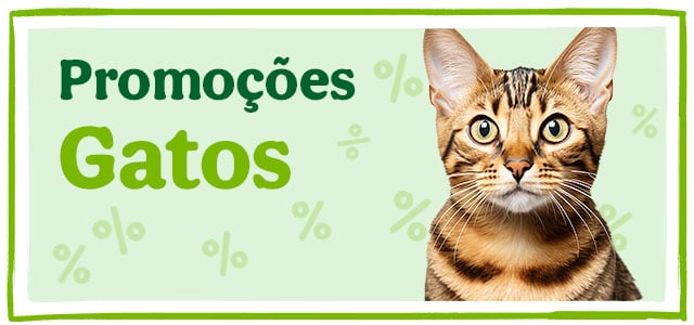 Promoçoes para Gato