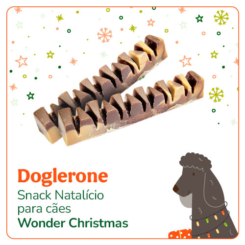 Um snack especial para cão.